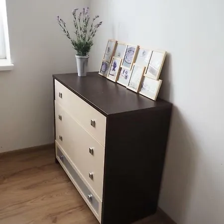 Hidden In The Old Town Under The Castle Daire *